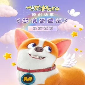 成年人观看的黄色淫秽视频
